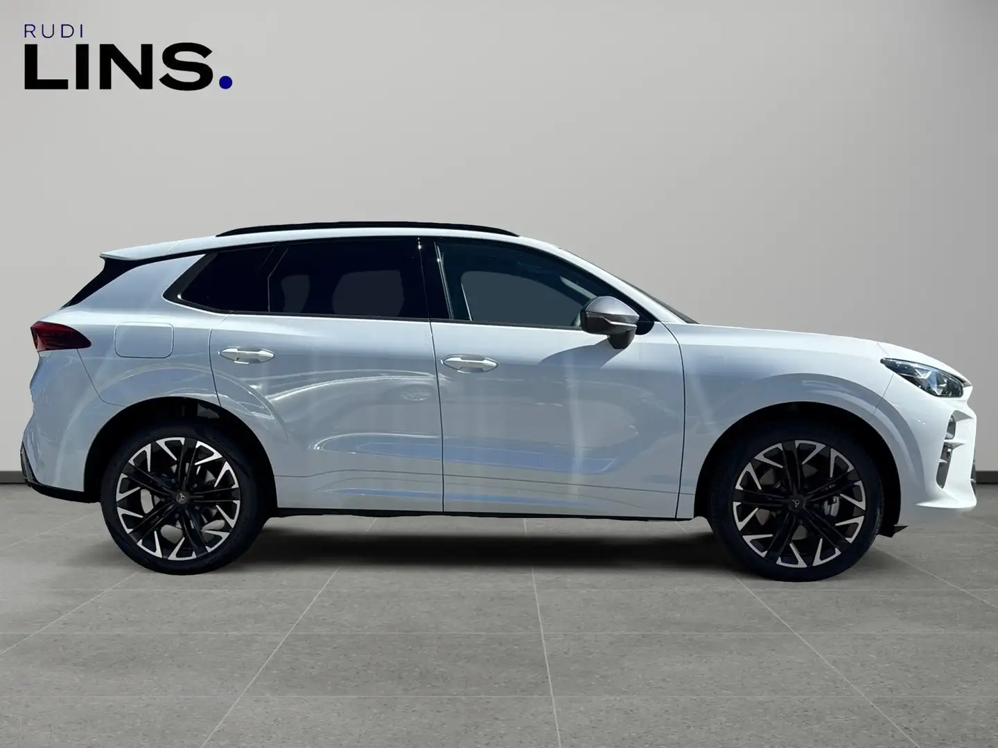 CUPRA Terramar 2.0 TSI 204 PS DSG 4Drive Wit - 2