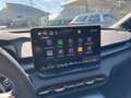 CUPRA Terramar 2.0 TSI 204 PS DSG 4Drive Wit - thumbnail 20