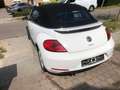 Volkswagen Beetle The Cabriolet 1.4 TSI ( donorauto) - thumbnail 6