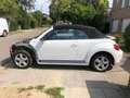 Volkswagen Beetle The Cabriolet 1.4 TSI ( donorauto) - thumbnail 4