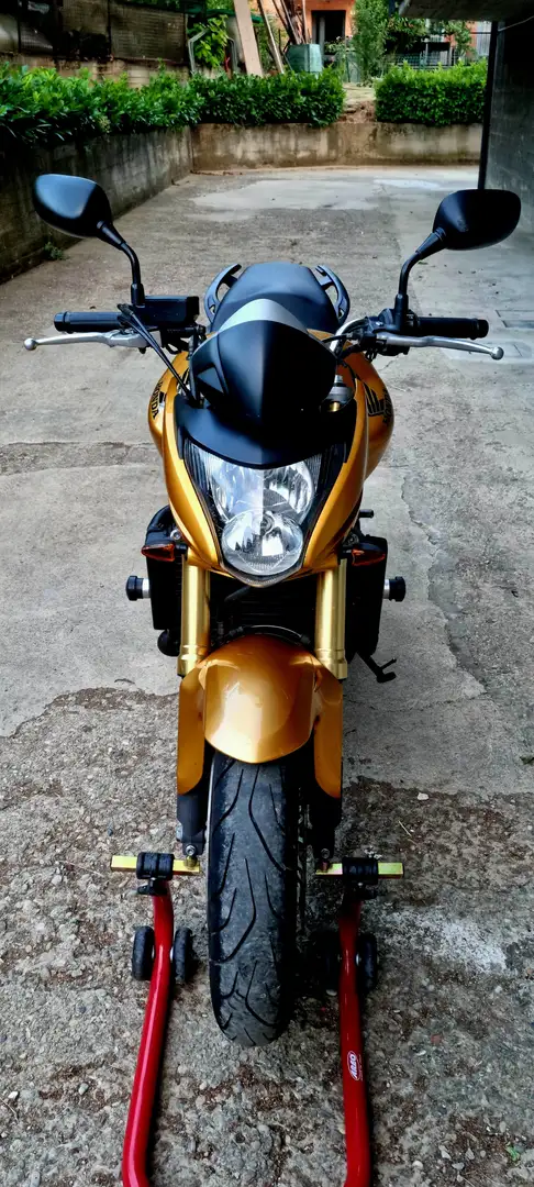 Honda Hornet Oro - 2