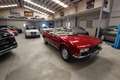 Peugeot 504 Cabrio Komplett Restauriert Rot - thumbnail 2