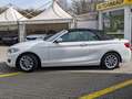 BMW 220 d Cabrio Advantage*Shz*Xenon*Beige*Garantie Beyaz - thumbnail 7