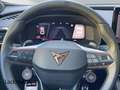 CUPRA Formentor 2.0 4Drive *Navi*Winter*CarPlay*ACC* Weiß - thumbnail 12