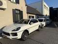 Land Rover Range Rover Evoque 1.5 P160 Mild-hybrid In prijs verlaagd Zomer Deal! Blauw - thumbnail 21