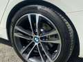 BMW 335 335dA xDrive Gran Turismo Blanco - thumbnail 13