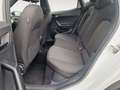 SEAT Arona 1.5 TSI Xcellence DSG ACC NAV KAM LED Bianco - thumbnail 8