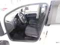 Volkswagen up! 1.0 5p. move  BMT Bianco - thumbnail 12