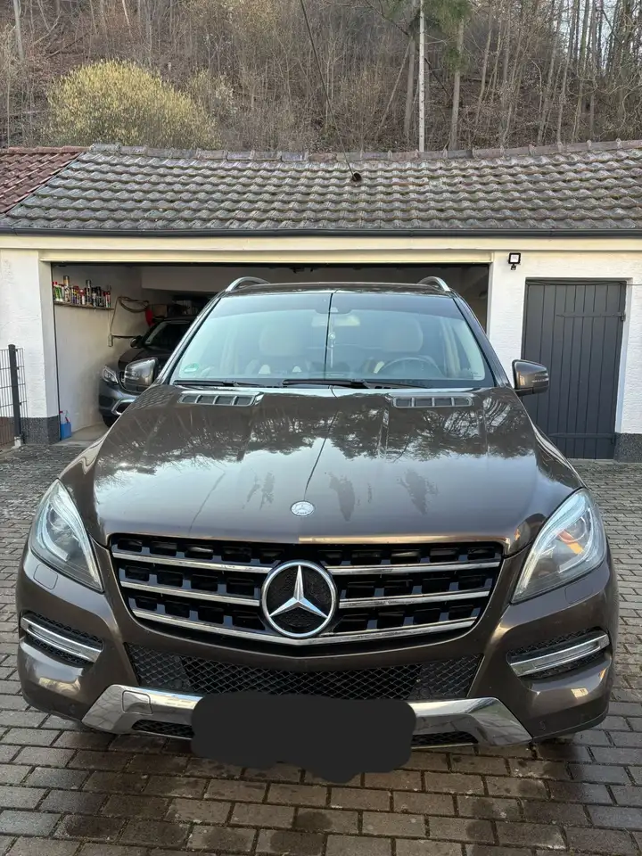Mercedes-Benz ML 250