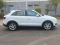 Audi Q3 2.0 TDI 103kW S tronic quattro Weiß - thumbnail 8