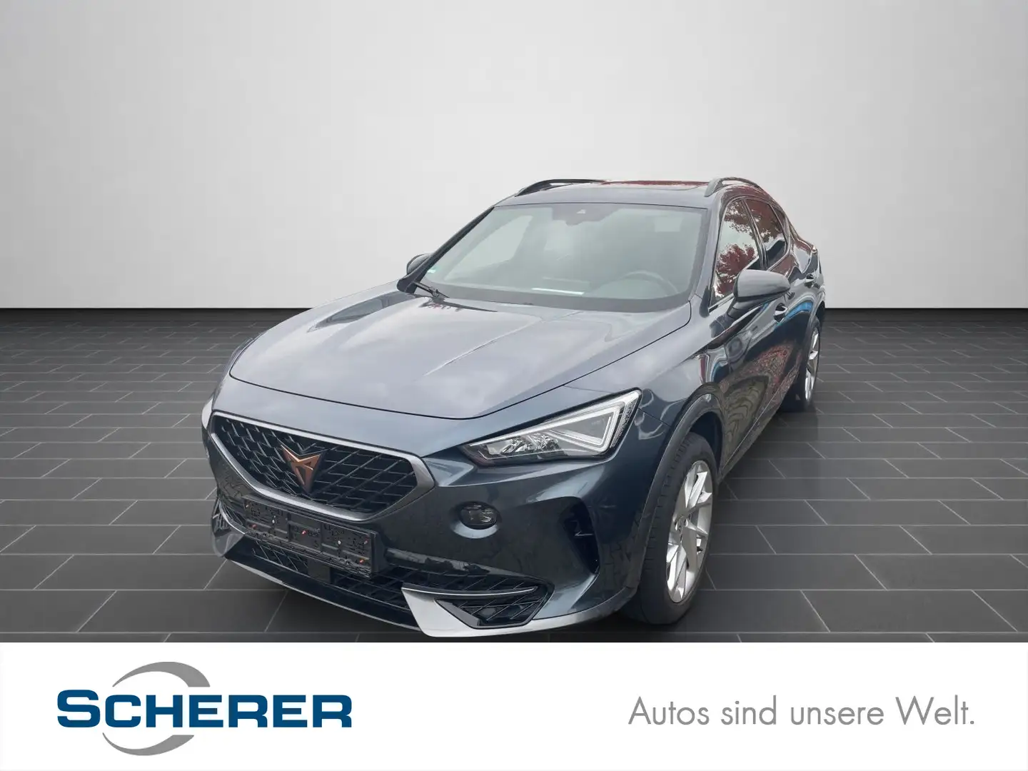 CUPRA Formentor FORMEN2,0 TDIF    5T110 DN4M6 Grau - 1