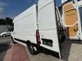 Renault Master L2H2 HKa 3,5t NETTO PREIS 14285 € Blanc - thumbnail 29