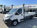 Citroen Jumper 35Qli 2.2 BlueHDi 140CV CASSONE FISSO L4 Blanc - thumbnail 1
