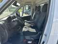 Citroen Jumper 35Qli 2.2 BlueHDi 140CV CASSONE FISSO L4 Blanc - thumbnail 11