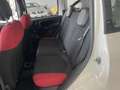 Fiat Panda Panda 1.2 Easy - Nessun vincolo - Bianco - thumbnail 6