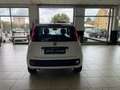 Fiat Panda Panda 1.2 Easy - Nessun vincolo - Bianco - thumbnail 4