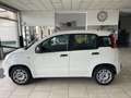 Fiat Panda Panda 1.2 Easy - Nessun vincolo - Bianco - thumbnail 3