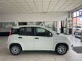 Fiat Panda Panda 1.2 Easy - Nessun vincolo - Bianco - thumbnail 2