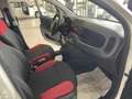 Fiat Panda Panda 1.2 Easy - Nessun vincolo - Bianco - thumbnail 7
