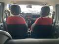 Fiat Panda Panda 1.2 Easy - Nessun vincolo - Bianco - thumbnail 14