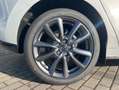 Mazda 3 Exclusive inkl. Leasing-Bonus Matrix LogIn RFK Sit White - thumbnail 15