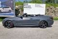 BMW 420 420d Cabrio Grau - thumbnail 4