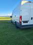 Citroen Jumper Camper Van Bikebus Luftvorzelt Bianco - thumbnail 4
