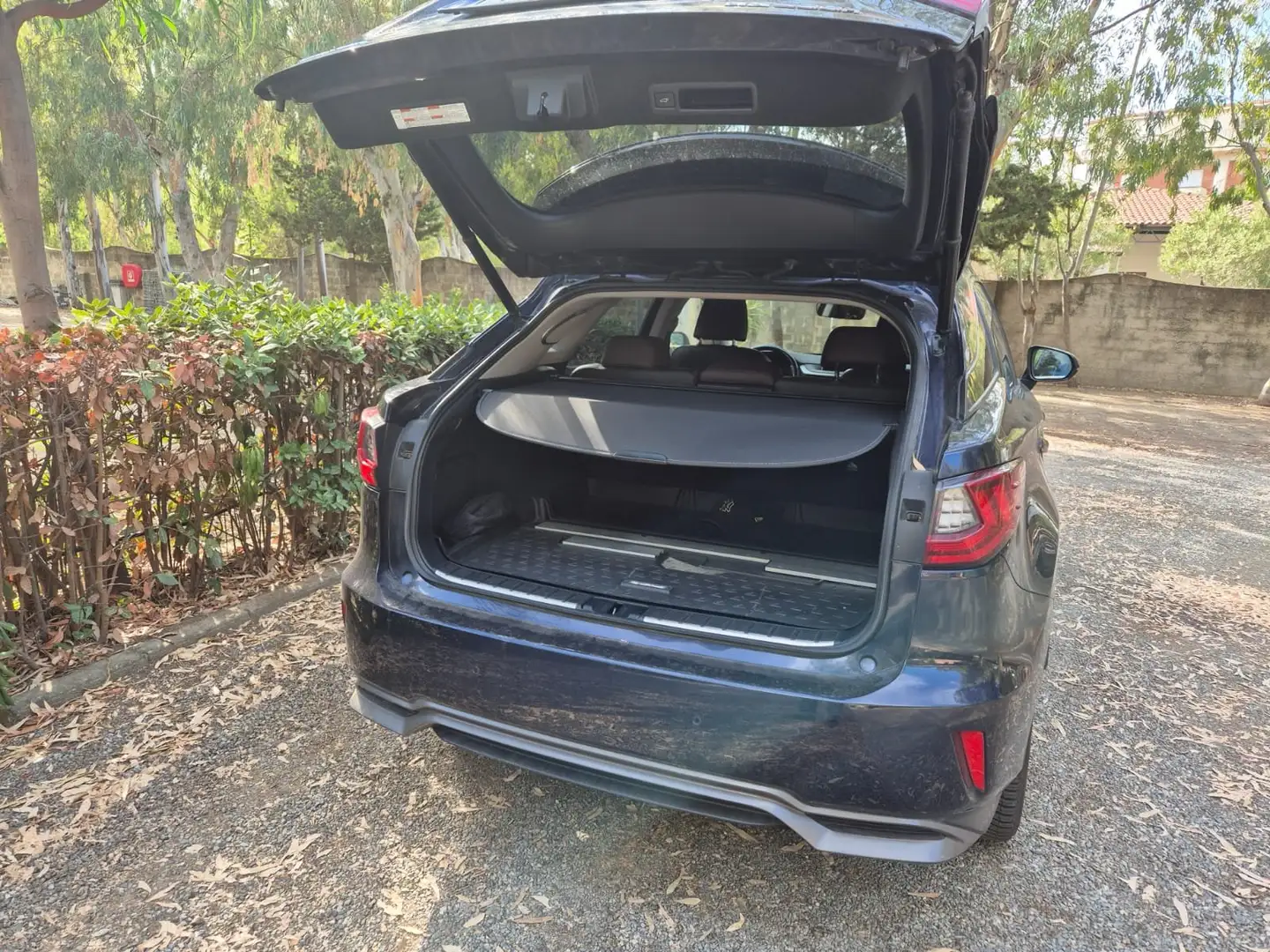 Lexus RX 450h RX IV 20163.5 Luxury 263cv cvt Blu/Azzurro - 2