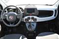 Fiat Panda 1.0 Garmin *5-SITZER* Grün - thumbnail 12