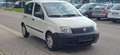 Fiat Panda 1.2 8V Active Weiß - thumbnail 1