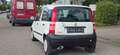 Fiat Panda 1.2 8V Active Weiß - thumbnail 9