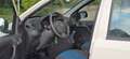 Fiat Panda 1.2 8V Active Weiß - thumbnail 10