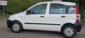 Fiat Panda 1.2 8V Active Weiß - thumbnail 6