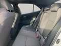 Toyota Corolla Hybrid Business Edition+LEICHTER HAGEL !! Grau - thumbnail 10