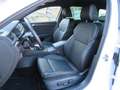 Skoda Superb 2.0 TDI 4x4 SPORTLINE COMBI 360° STANDHEI Weiß - thumbnail 9