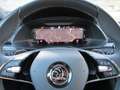 Skoda Superb 2.0 TDI 4x4 SPORTLINE COMBI 360° STANDHEI Weiß - thumbnail 12
