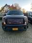 Ford F 150 USA V8 HARLEY DAVIDSON LPG Negru - thumbnail 1