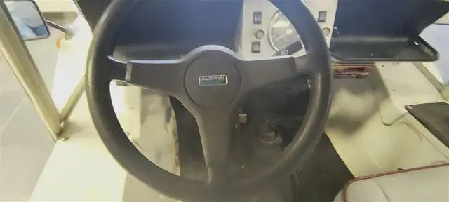 Austin Mini Moke view 8