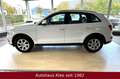 Audi Q5 2.0 TDI  quattro *AHK*Tempomat*BT* Weiß - thumbnail 12