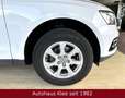 Audi Q5 2.0 TDI  quattro *AHK*Tempomat*BT* Weiß - thumbnail 16