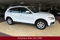 Audi Q5 2.0 TDI  quattro *AHK*Tempomat*BT* Weiß - thumbnail 2