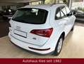 Audi Q5 2.0 TDI  quattro *AHK*Tempomat*BT* Weiß - thumbnail 3