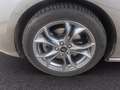 Ford Focus SW 1.5 ecoblue ST-Line s&s 120cv Grigio - thumbnail 10