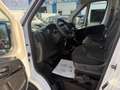 Fiat Ducato Maxi L4H3 *MwSt.*Netto 20.825,-*Klima*Rückfahrkamera* Weiß - thumbnail 6