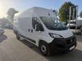 Fiat Ducato Maxi L4H3 *MwSt.*Netto 20.825,-*Klima*Rückfahrkamera* Weiß - thumbnail 2