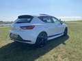 SEAT Leon Complete historie / Origineel NL Cupra 280 Wit - thumbnail 8