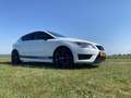SEAT Leon Complete historie / Origineel NL Cupra 280 Wit - thumbnail 7