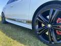 SEAT Leon Complete historie / Origineel NL Cupra 280 Wit - thumbnail 10