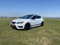 SEAT Leon Complete historie / Origineel NL Cupra 280 Wit - thumbnail 2