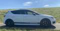 SEAT Leon Complete historie / Origineel NL Cupra 280 Wit - thumbnail 17